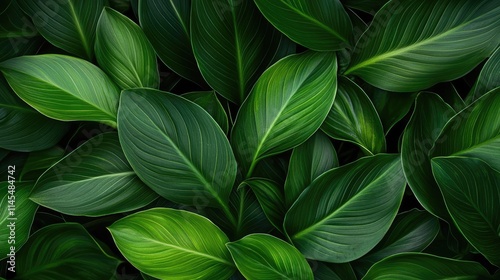 Micro foliage concept. Vibrant green leaves creating a lush and natural background for nature-themed designs.