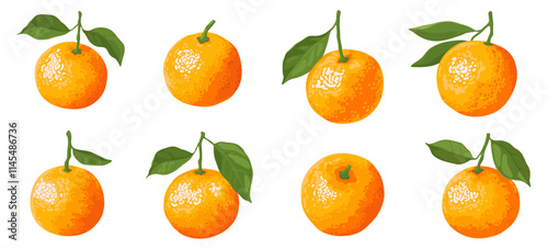 Collection of orange sweet tangerines with green leaves isolated on white background. Fresh ripe fruit.