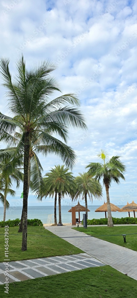 Fototapeta premium palm trees on the beach