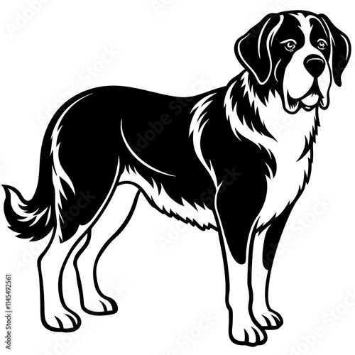 Silhouette Saint Bernard Dog Vector and illustration on white Background
