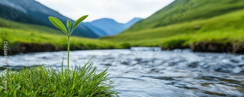 Wilderness valley idea. A small green plant emerging near a serene stream in a lush valley landscape. photo
