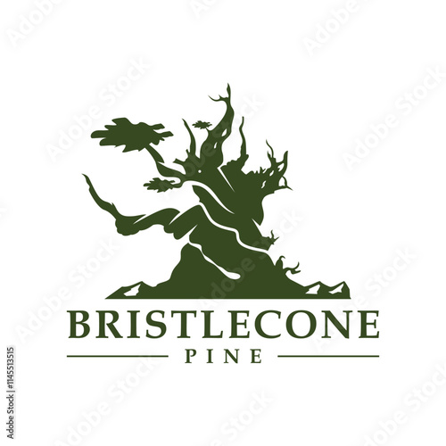 bristlecone pine tree logo