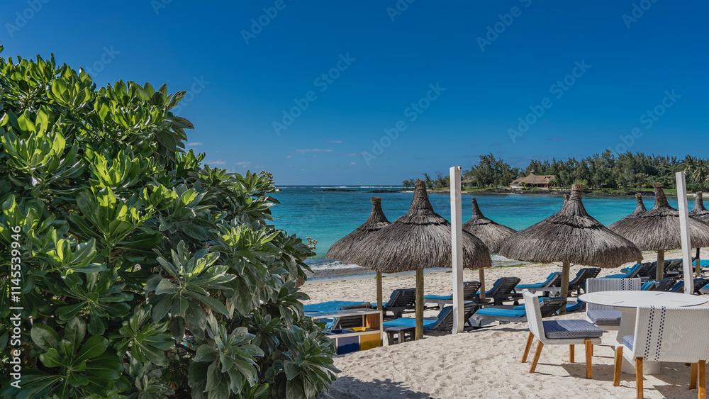 Rows of deck chairs with mattresses under straw umbrellas on the sandy beach. There are wicker chairs, a table on the embankment. Calm turquoise ocean, blue sky. A tropical shrub in the foreground. 