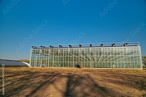 Wallpaper Mural Spring vegetable greenhouse in Kulun Nur Scenic Area, Guyuan County, Hebei Province Torontodigital.ca