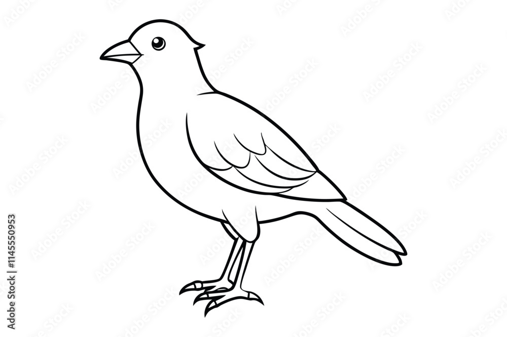 Obraz premium bird line art vector illustration on white background
