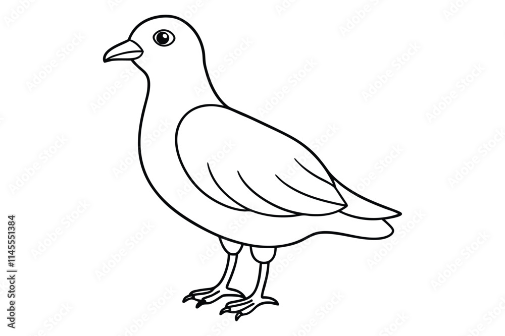bird line art vector illustration on white background bird line art vector illustration on white background