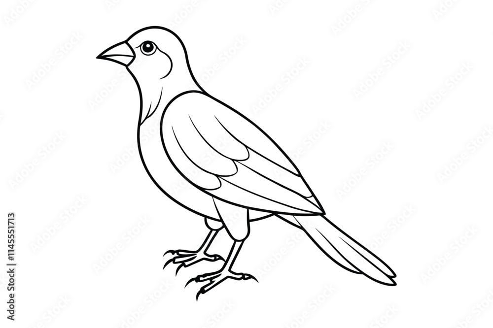 Fototapeta premium bird line art vector illustration on white background