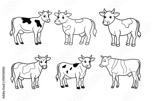 animals collection