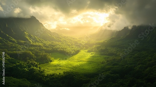 Lush Green Valley Illuminated by Golden Light at Sunrise