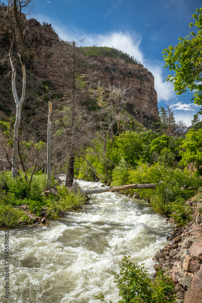 Discovering Grizzly Creek Trail