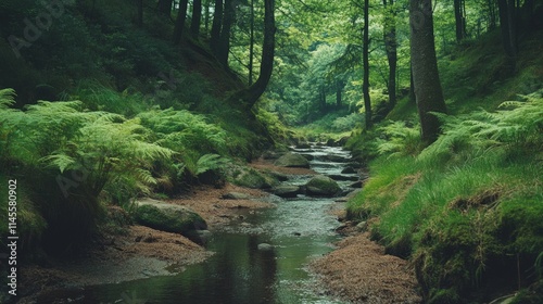 Peaceful Creek Running Through Lush Green Forest Landscape