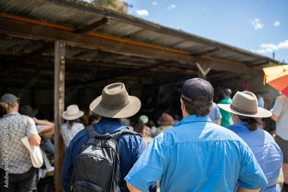 group of farmers at a field day learning about farm community wearing a hat being sun smart. studying crops in a field, studying a soil and animals group of farmers at a field day learning about farm community wearing a hat being sun smart. studying crops in a field, studying a soil and animals
