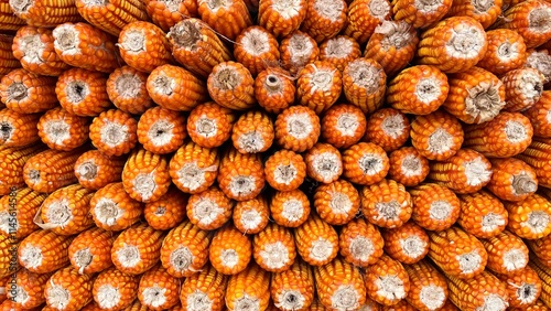 Stacks of neatly arranged corn give a beautiful impression photo