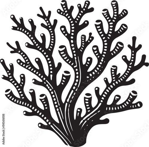 Underwater Sea coral silhouette vector illustration isolated on a white background