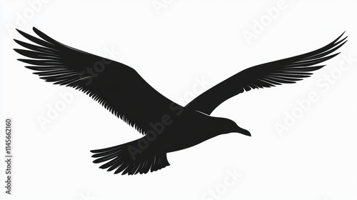 Silhouette of a soaring seagull against a minimalist sky background emphasizing freedom and nature's beauty