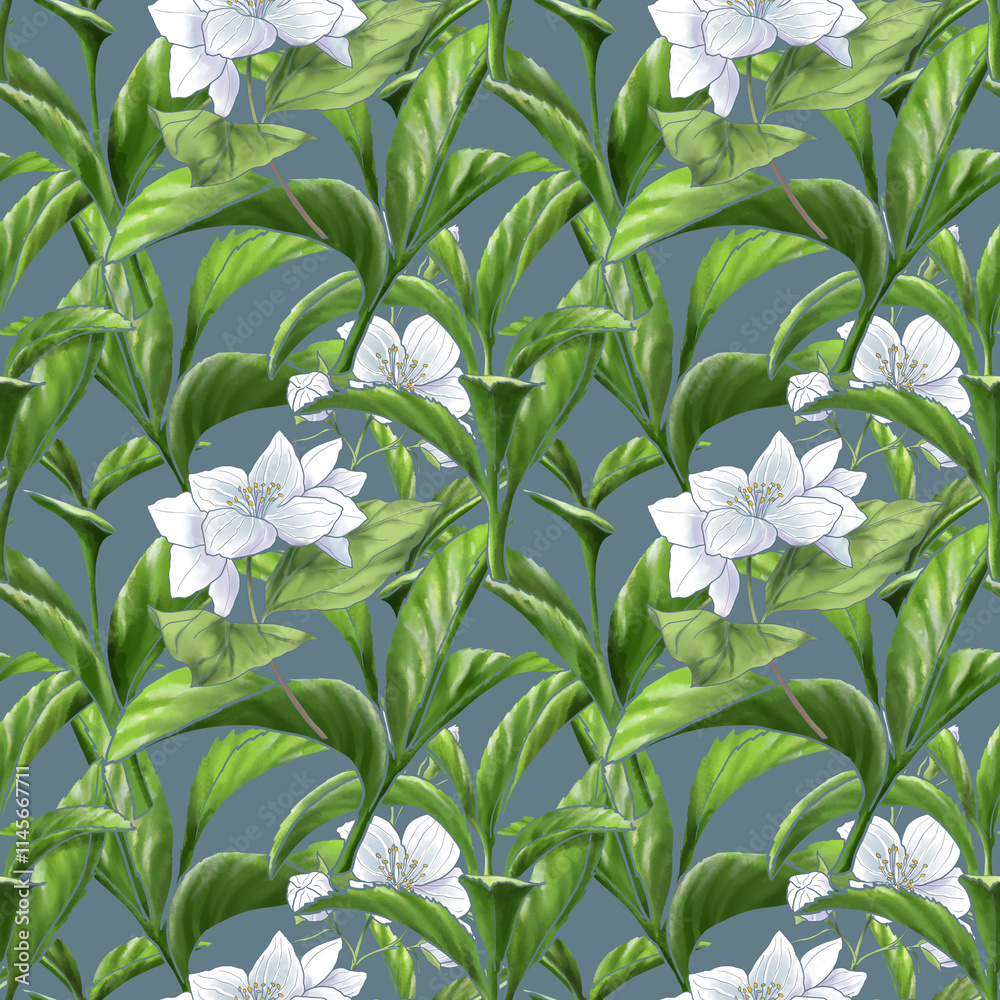 Obraz premium Hand drawn Jasmine tea design for wrapping paper