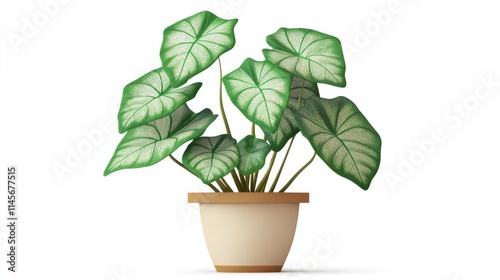 Caladium plant in a decorative pot showcasing lush green leaves with striking venation and vibrant colors for indoor decor.