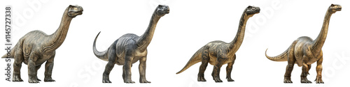 Four argentinosaurus dinosaur figures stand in a row, showcasing their long necks and tails, depicting a prehistoric theme with various textures and colors. photo