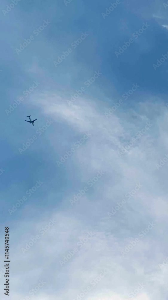 上空を飛んで行く旅客機 縦動画 上空を飛んで行く旅客機 縦動画