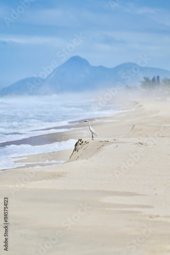 beach in the morning