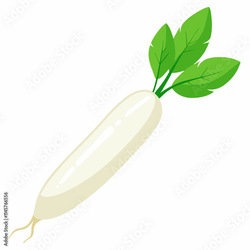 white long radish isolated white background