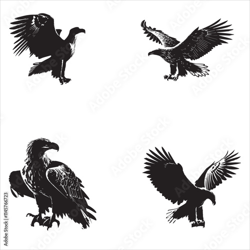 silhouette of clean vector of white tailed eagle isolated