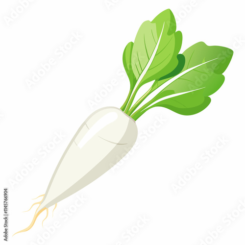 white long radish isolated white background