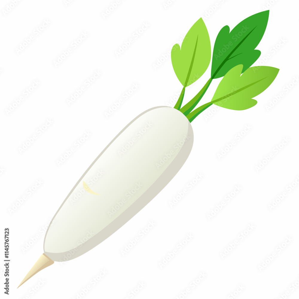 white long radish isolated white background white long radish isolated white background