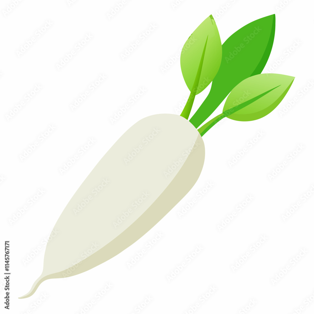 white long radish isolated white background white long radish isolated white background