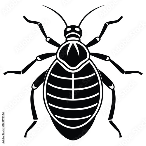 Bedbug insect flat vector illustration on a white background