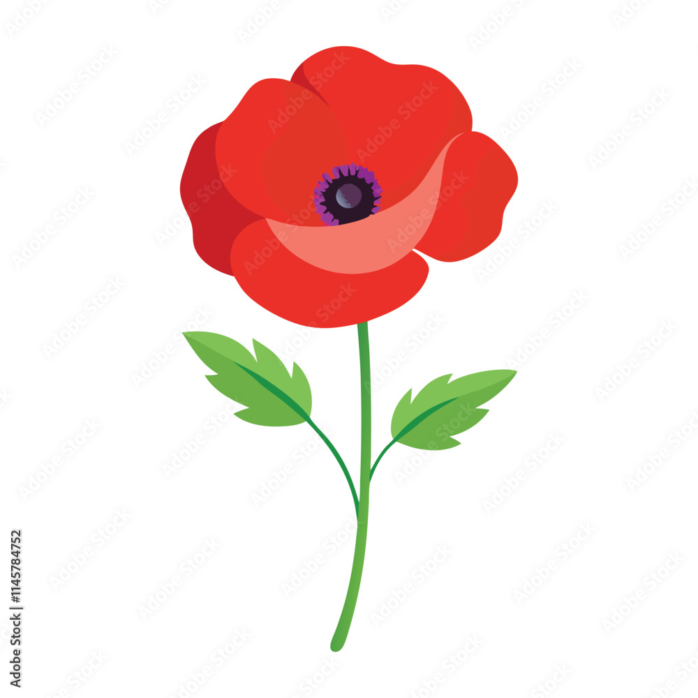 Single poppy flower vector art illustrator. Single poppy flower vector art illustrator.