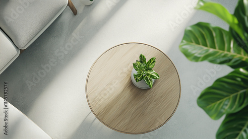 Sunlit Minimalist Living Ro...