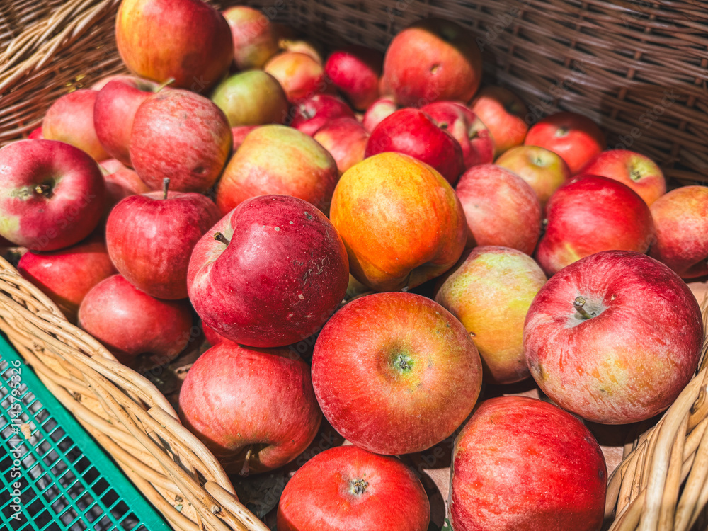 A basket full of apples with some of them being red and some of them being green A basket full of apples with some of them being red and some of them being green
