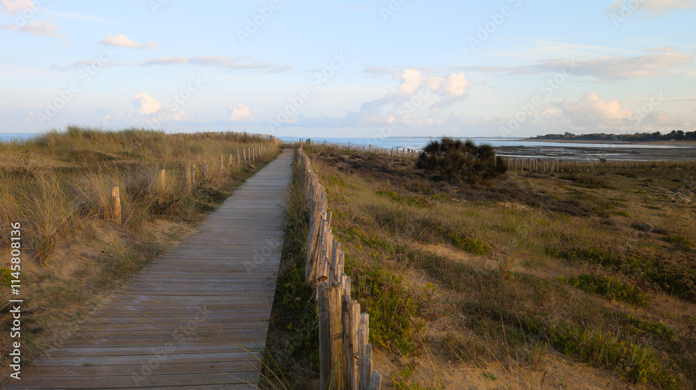 access ocean sandy pathway fence wooden to ocean beach atlantic sea coast in vendee France access ocean sandy pathway fence wooden to ocean beach atlantic sea coast in vendee France