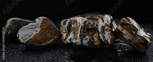 Beautiful wet stones laid out in a row on a black background.