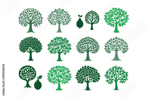 collection of trees