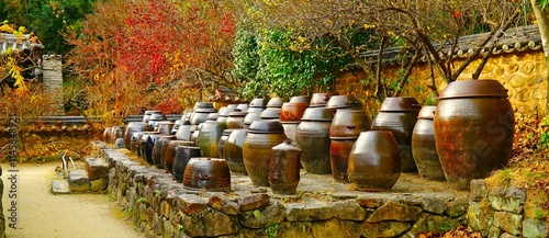 한국의 전통 가옥의 뒷뜰에 위치한 장독대