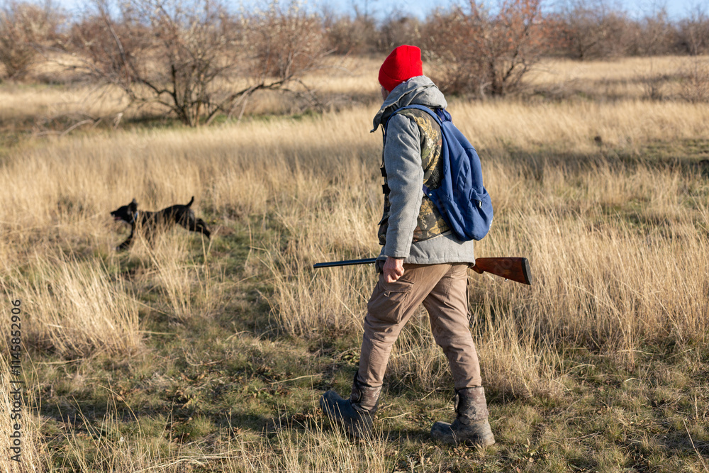 Mature hunter man holding a shotgun and walking through a field Mature hunter man holding a shotgun and walking through a field