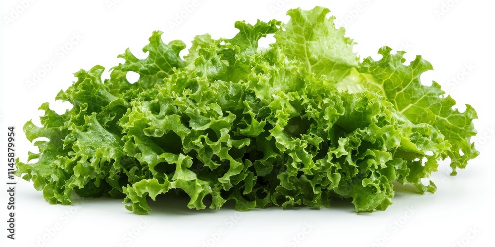 A fresh French salad featuring lettuce that stands alone against a white background. This vibrant salad showcases crisp lettuce in an isolated setting. A fresh French salad featuring lettuce that stands alone against a white background. This vibrant salad showcases crisp lettuce in an isolated setting.