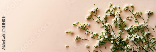 White flowers on a soft beige background, perfect for floral aesthetics, natural decor, serene visuals, romantic themes, and creative design inspiratio photo