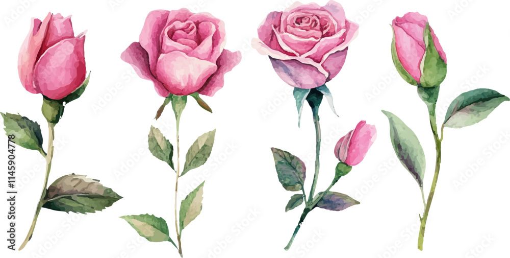 Fototapeta premium bouquet of pink roses