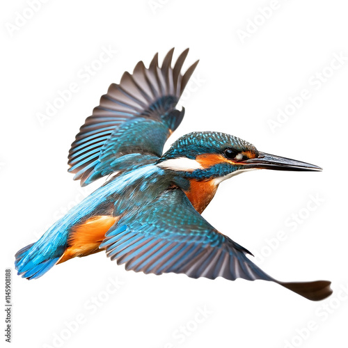 High-resolution photo of a kingfisher bird mid-flight, isolated on transparent background
