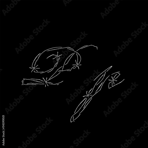 letter P Barbed wire hand drawing vector isolated on black background.