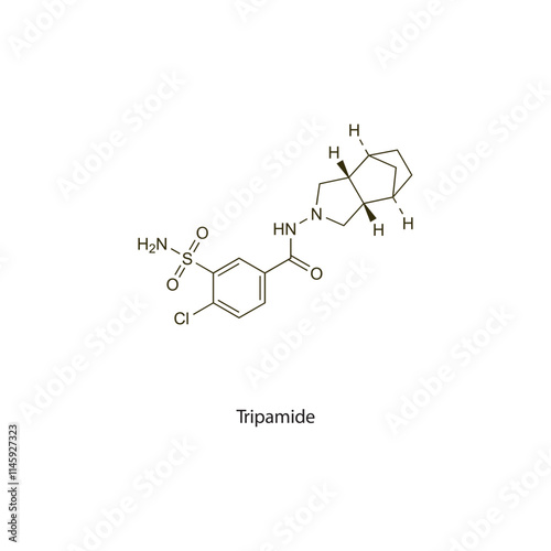 Tripamide flat skeletal molecular structure Thiazide diuretic drug used in  treatment. Vector illustration scientific diagram.