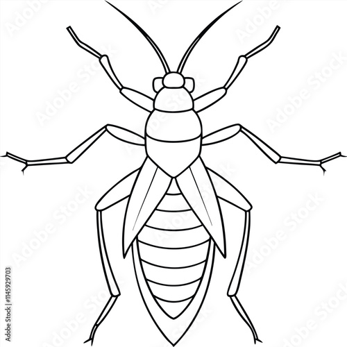 Cricket insect flat vector illustration on a white background