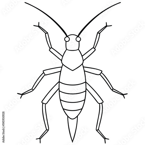 Cricket insect flat vector illustration on a white background