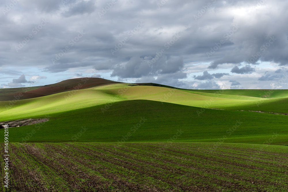 Obraz premium Beautiful landscape view from the north of Tunisia
