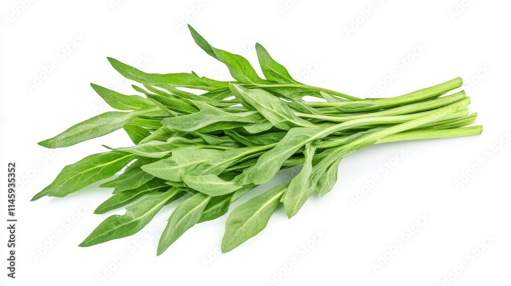 Fototapeta premium water spinach on white background. water spinach