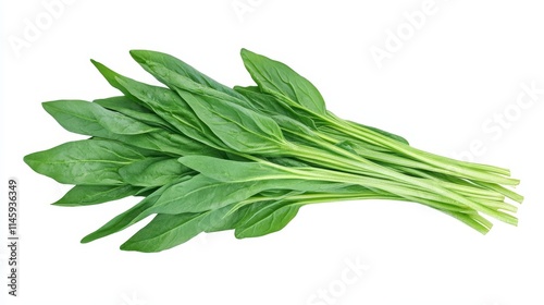 water spinach. water spinach on white background