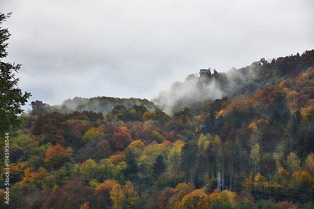 Fototapeta premium autumn landscape in the mountains